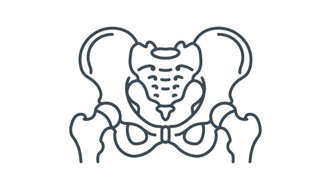 Human Pelvis Bone Anatomy Icon Vector Illustration