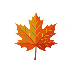 Obraz premium A vibrant autumn maple leaf rests against a white background