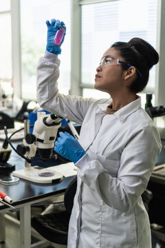 Female scientist examining test tube liquid in laboratory
