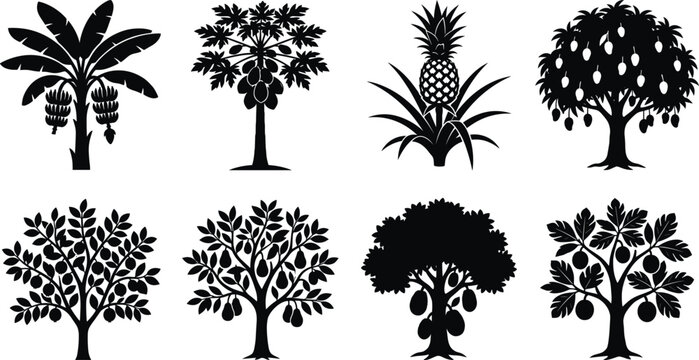 Tropical Fruit Tree Silhouette Collection with Banana Papaya Mango Pineapple and Jackfruit Plants