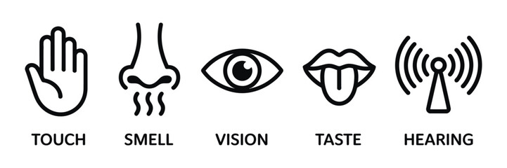 Fototapeta premium Human sense icons, five senses symbols featuring vision, smell, hearing, touch and taste, educational vector illustration