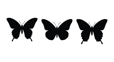 Three butterfly silhouettes against a white background showcasing delicate wing shapes and patterns silhouette butterflies lepidoptera insect insects © APIM02SN