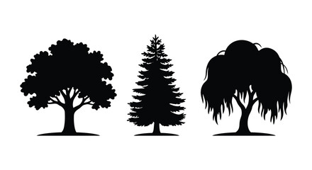 Oak pine and willow tree silhouettes against a white background a botanical illustration silhouette trees flora foliage woodland © APIM02SN