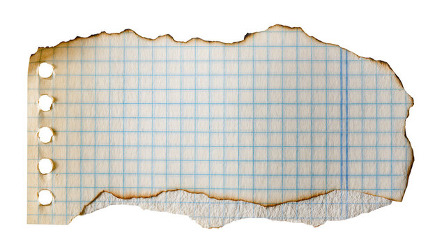 Torn graph paper with burnt edges, isolated on transparent background
