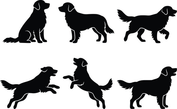 Set of golden retriever dog silhouettes in different poses