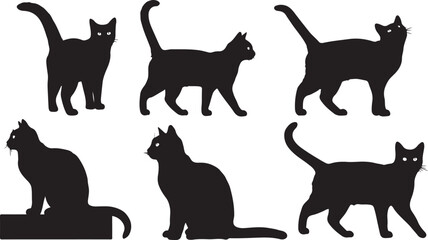 Black cat silhouettes, feline icons, cat graphics, animal shapes isolated on Transparent Background © Riponislam