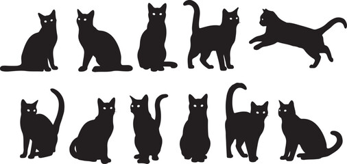 Black cat silhouettes, feline icons, kitty graphics, animal shapes isolated on Transparent Background © Riponislam