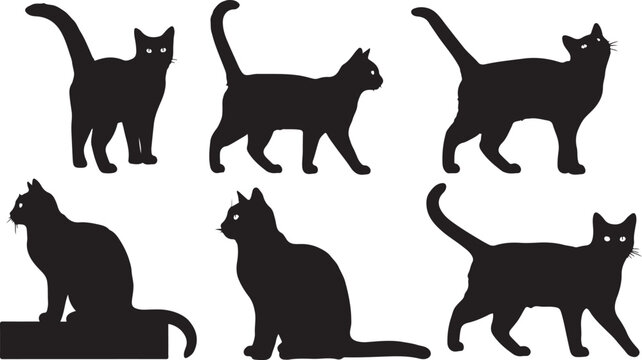 Black cat silhouettes, feline icons, cat graphics, animal shapes isolated on Transparent Background