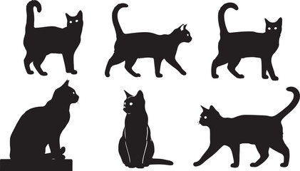 Black cat silhouettes, feline icons, cat graphics, animal shapes isolated on Transparent Background © Riponislam
