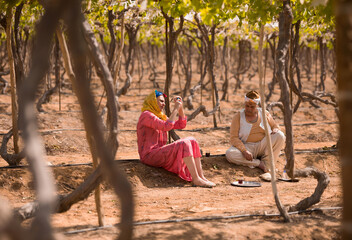 Fototapeta premium Authentic Middle Eastern women farm workers in traditional dress taking tea break during vineyard work pause in rural agricultural setting