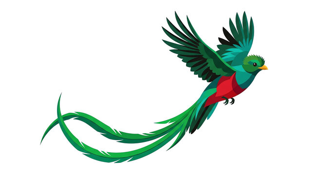 Quetzal Tropical Bird Flying with Vibrant Green and Red Feathers