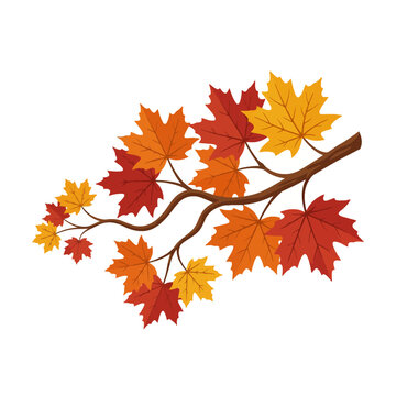 Autumn maple leaves rest on a gracefully curved branch in sunlight