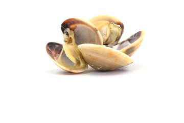 Closed up fresh baby clams. venus shell. shellfish. carpet clams. Food from nature. as raw food from the sea are the seafood ingredients. fresh clams isolated on white background © Pisan