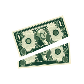 A single one dollar bill is torn in half on white