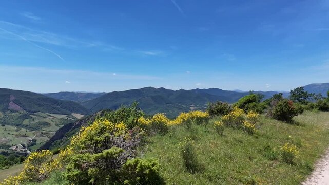 Pendio montano ricoperto da cespugli di ginestra gialla, erbe perenni e arbusti spontanei, con boschi misti sullo sfondo e cielo limpido. Un paesaggio ricco di biodiversit&agrave;