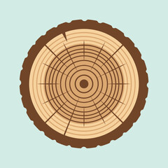 A flat vector illustration of a round tree trunk cross section © hilwan