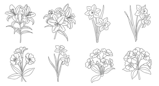Hand drawn botanical flower doodles set featuring lilies, daffodils, primroses, and wild blossoms in black ink line art style.
