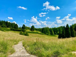 Sunny day © Tomasz