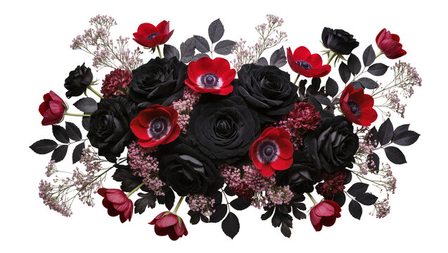 Dark red anemones and black roses bouquet, isolated on transparent background