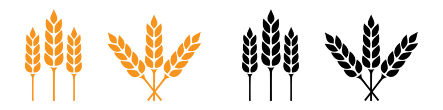 Cereal grain and corn icon vector illustration. PNG. Editable stroke. wheat grain crops for agriculture.