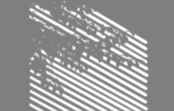 Gray shadow tree branches window frame diagonal cut out transparent backgrounds 3d rendering png