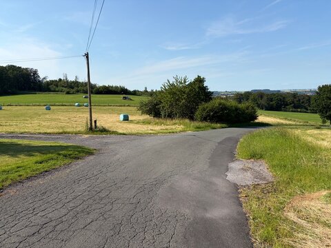 Fr&uuml;hsommer in den Feldern der Stadt Menden im Sauerland