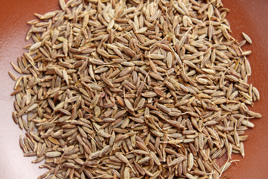 Whole cumin scattered on a brown plate.