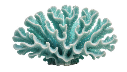 Blue coral with intricate branching structures, isolated on transparent background © Alexander