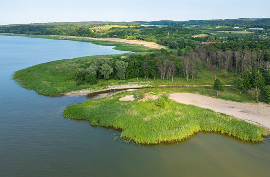 Aerial view of the Vistula Lagoon coastline featuring lush green reeds, a sandy beach, and dense forest bordering the water in Tolkmicko, Warmian-Masurian Voivodeship, Poland.
