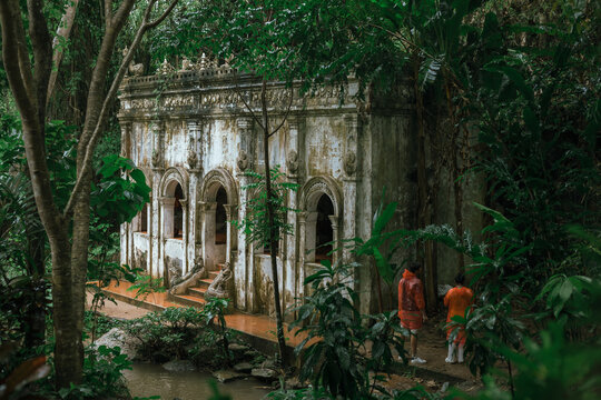 a tranquil scene in a forest temple in northern Thailand.