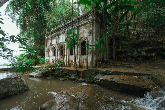 a tranquil scene in a forest temple in northern Thailand.