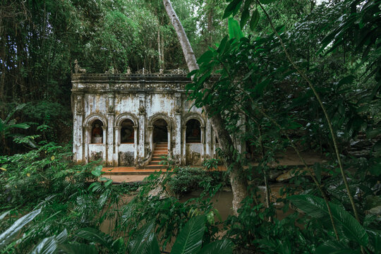 a tranquil scene in a forest temple in northern Thailand.