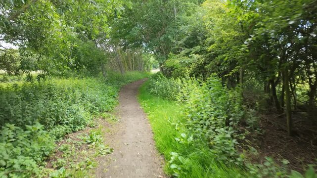 Near Ferry Meadows, Alwalton and Castor Circular, Peterborough, Cambridgeshire, UK - 09 June 2026: Point of view, gimbal - walking through woodland trail, tall trees, dappled sun and wind rustling.