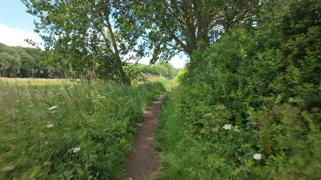 Ferry Meadows, Peterborough, UK - 09 June 2026: Point of View Gimbal footage walking on a rural path through the trees, and into an area with the sun beaming down and the wind rustling through trees.
