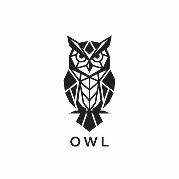 Intellectual geometric owl logo vector design icon isolated on background for education university tech online course brand business identity