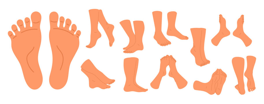 Bare feet. Carious angles and positions of human pair legs. Ankles and toes. Limbs front, side and rear views. Sole cosmetic skincare. Walk steps. Men and women body parts vector set