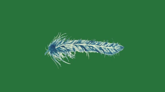 The words cozy winter vibes and snowman christmas tree ' vibe oy green screen design colorful