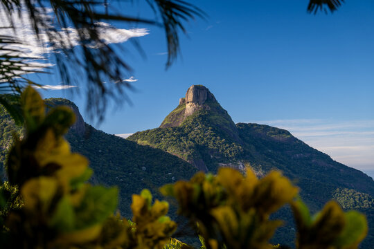 Majestic mountain Pedra da G&aacute;vea peak rising above dense tropical forest under a clear blue sky framed by blurred foreground foliage in Rio de Janeiro city