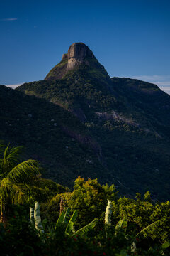 Majestic mountain Pedra da G&aacute;vea peak rising above dense tropical forest under a clear blue sky framed by blurred foreground foliage in Rio de Janeiro city