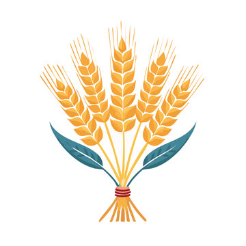 Golden wheat bundle with leaves, flat vector illustration