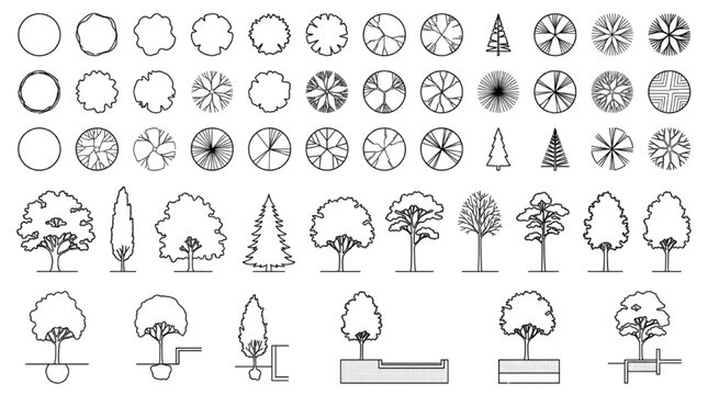 Structural root ball planting specification diagram combining tree plan views and side elevations