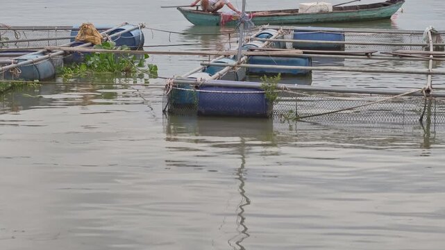 Tracking shot of a fisherman casting a fishing net from a small boat near a floating fish farm on the Tien River, Mekong Delta, Vietnam