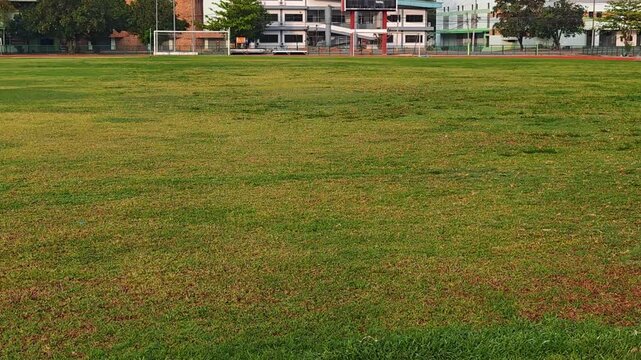 Grass field, goal, football stadium  , sports field..
