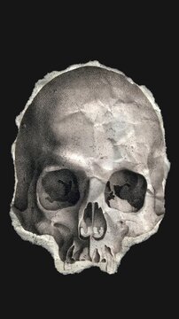 A drag and drop skeleton anatomy themed ephemera that animates into place from torn paper.
