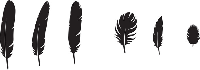 Black feather silhouettes set isolated vector illustration bird plumage icons graphic design elements © Bahar