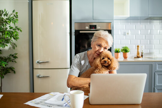 Senior woman cuddling poodle while using laptop in home kitchen