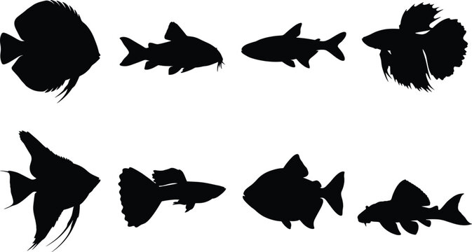 Freshwater and Tropical Aquarium Fish Silhouette Collection Featuring Ornamental and Aquatic Species Designs