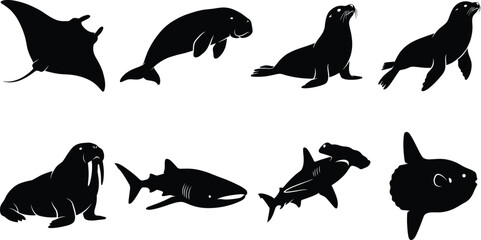 Marine Animal Silhouette Collection Featuring Ocean Wildlife Rays Sharks Seals and Aquatic Species © TASLIMA