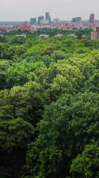 Green Urban Park Treetops Modern City Skyline Architecture Real Estate Neuroarchitecture Landscape. This high-angle perspective showcases a dense canopy of lush green forest trees in the foreground
