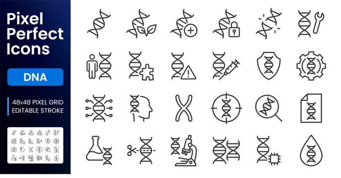 DNA line icon set. Gene research, genome helix, protein structure, chromosome, genetic heredity, GMO linear minimal vector illustration. Simple outline signs. 48x48 Pixel Perfect. Editable Stroke.